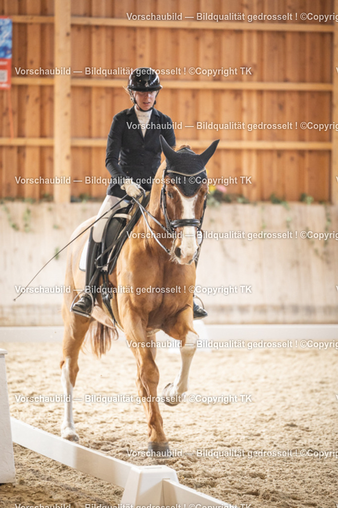 _D5A9196 | Emotionale Pferde- & People-Fotografie rund um Heidelberg, Leimen & Umgebung. Natürliche Fotos von Pferd, Mensch & Familie. Jetzt Termin sichern!