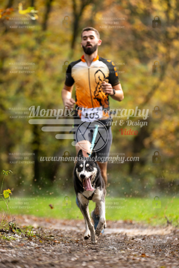 MompixPhotography_Bischwiller23_Canicross-54 | PayLife