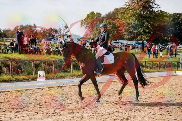 2026_10_03_Siefer-Hof_130300_Z63_64848684 | Professionelle Reitsport-, Turnier- und Eventfotografie von Robert Broda. Galerien mit ausgewählten und bearbeiteten Bildern direkt online ansehen und bestellen.