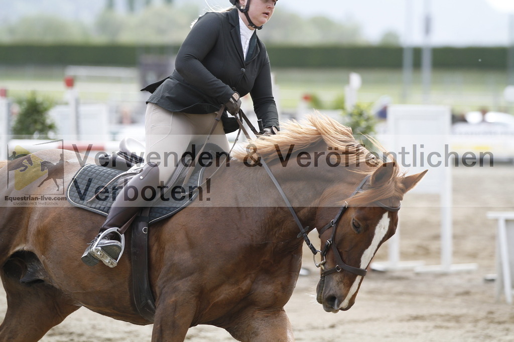_MG_2931 | equestrian-live-com