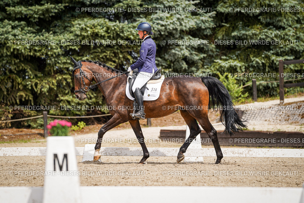 DSC03855 | Pferdegrafie