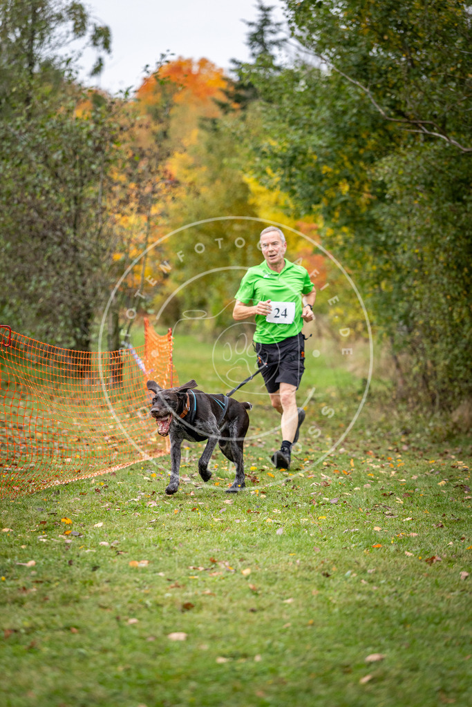 Pfotenfotografie_DV3A2015 | Hundefotografie, Tierfotograf, Pfotenfotografie, Fotoshooting Hund, Hunde Portrait, Hundesport, Hundeportraits, Heideshooting, Hunde, Sportfotograf, Hundefotograf, Turnierhundsport, THS,  - Realisiert mit Pictrs.com