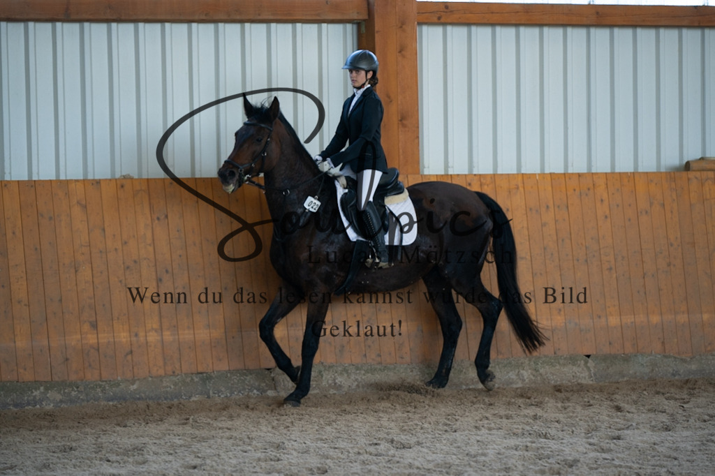 A7V02054 | Turnier/Reitfotograf
