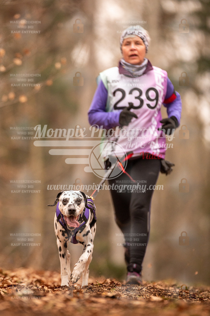 AKM_ST_2023_SAM_Run-123 | PayLife