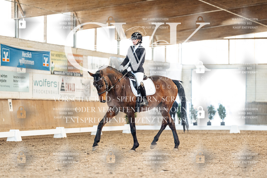 CK908868 | Turnierfotografie Pferdefotografie Trier Rheinland-Pfalz Pferdesport Reitsport Tierfotografie Sportfotografie Pferdevideo Pferdevideografie Equestrianvideography equestrianphotography  - Realisiert mit Pictrs.com