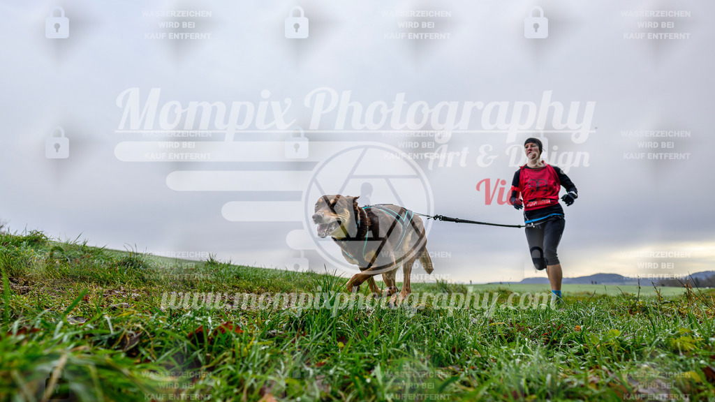 MompixPhotography_Staufertrail2024_SO_Canicross-5 | PayLife