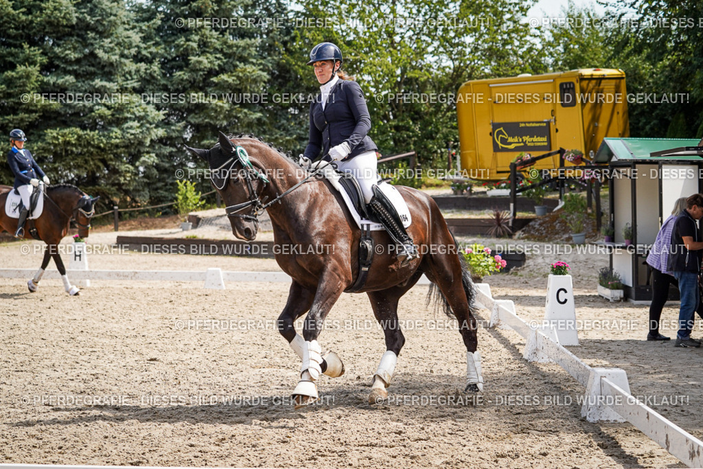 DSC09775 | Pferdegrafie