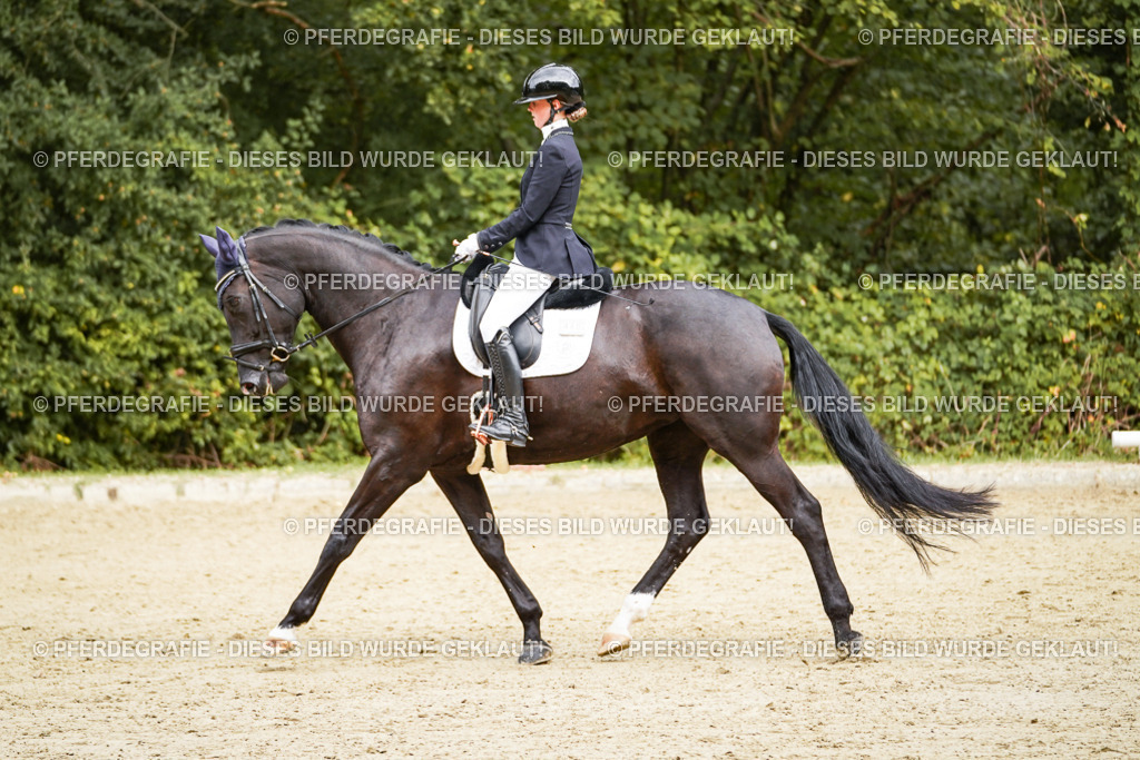 DSC00139 | Pferdegrafie