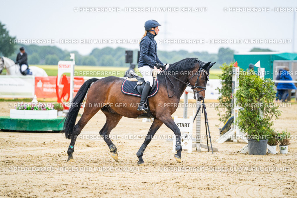 DSC08135 | Pferdegrafie