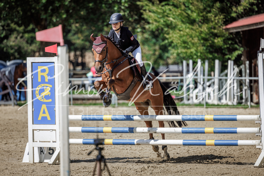 20260905-_3LI9294 | Tierfotografie Pferde, Hunde, Katzen, Haustiere.
Turnierfotografie Reitturniere, Reiten, Springreiten, Dressur in Hanau, dem Main-Kinzig-Kreis und dem Rhein-Main- Gebiet um Frankfurt