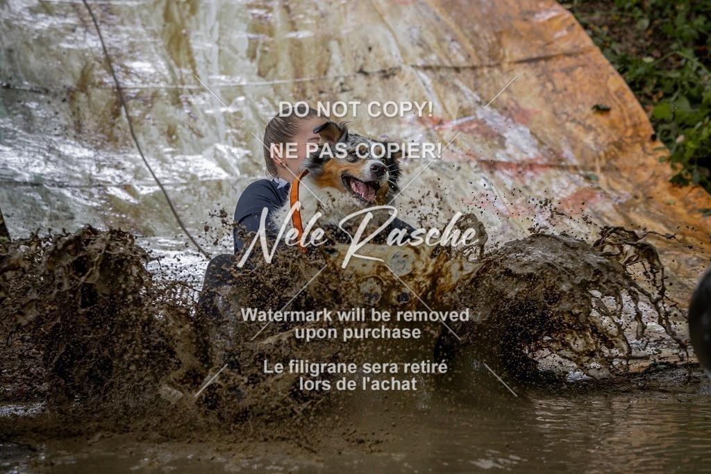 nelerasche_Hunsrück_Sa1430-1500_351-final | nelerasche