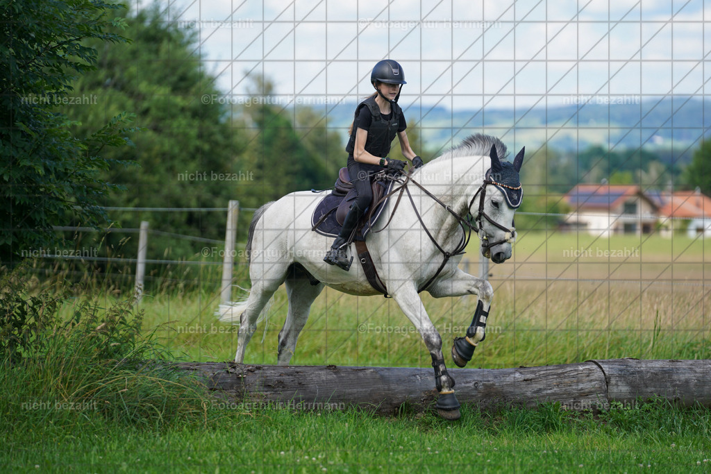 20240622-FAH07928 | Turnierfotografen Bayern, Reitsportbilder aus dem Geländekurs mit Felix Etzel auf dem Gut Waitzacker 2024