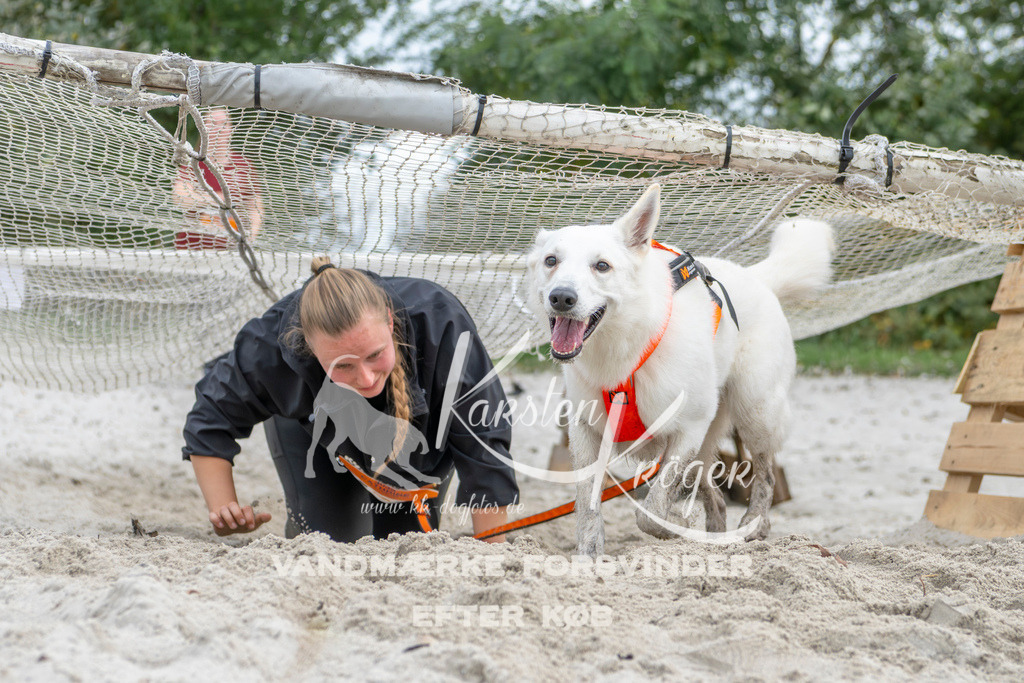 1515_ZZ93729 | kk-dogfotos