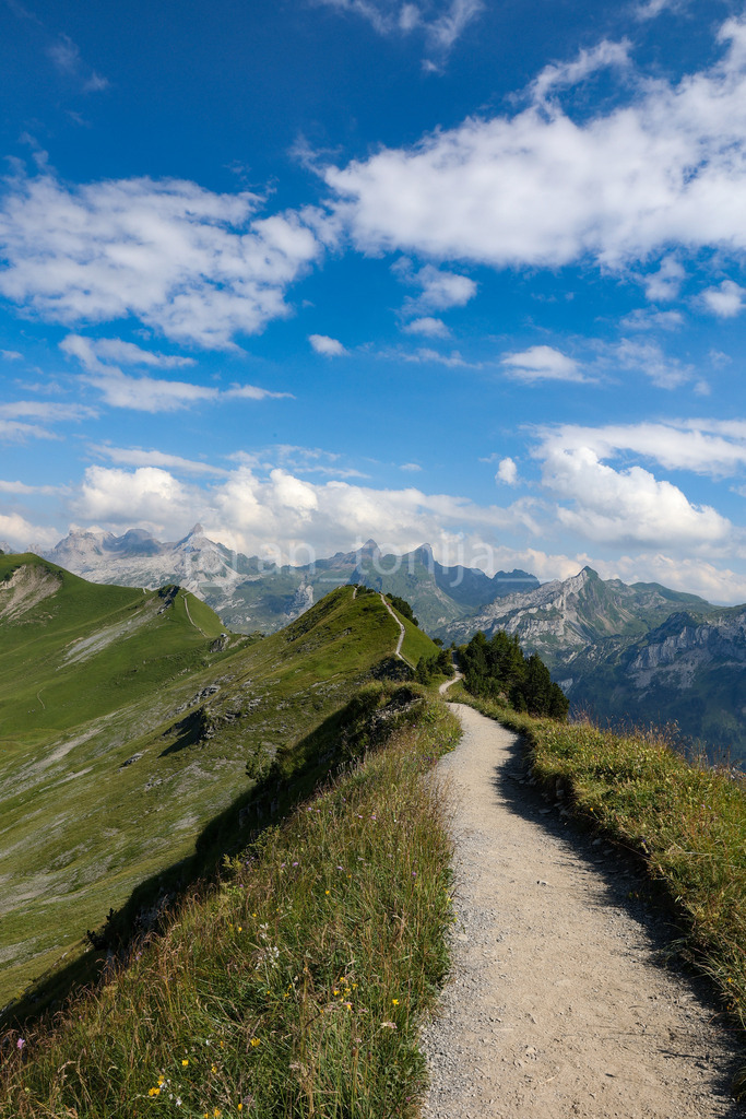 A.Trupina-26 | antonija-trupina - Realisiert mit Pictrs.com