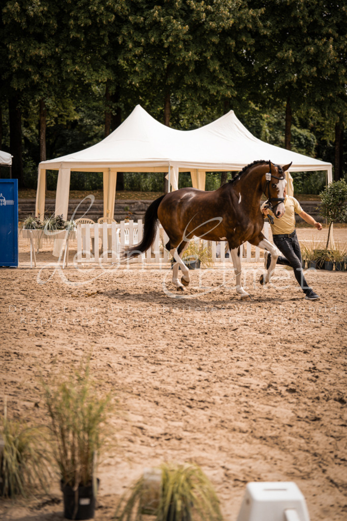 3.Fr00222 | Leoni Ertmer Photography - Realisiert mit Pictrs.com