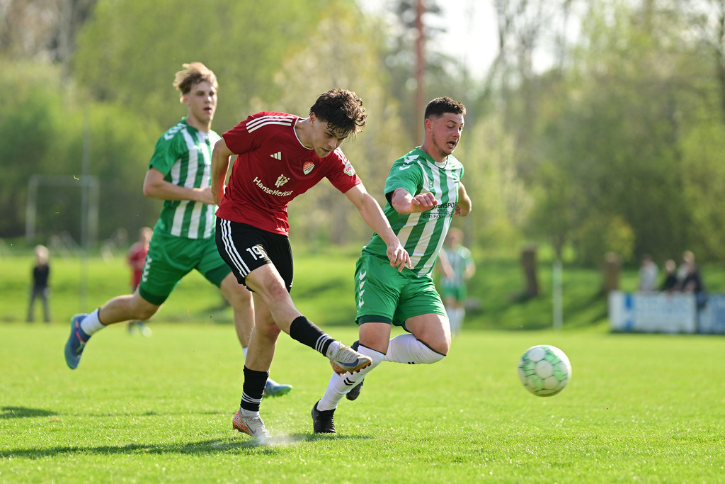 Fußball I Herren I Saison 2024-2025 I Landesliga I 24. Spieltag I SV Grün-Weiß Siebenbäumen - Kaltenkirchener TS | Mika Gutovsky (19, Kaltenkirchener TS) schießt, Timo Dankert (18, SV Grün-Weiß Siebenbäumen) - Realisiert mit Pictrs.com