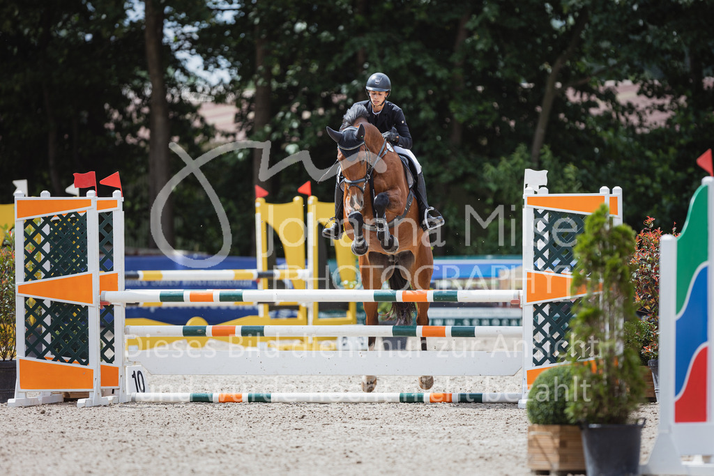 220705_Mühlen_SprPf-A3-396 | Late Entry Mühlen
05.07.2022
03 Springpferde-A**, 4-6jährige Pferde