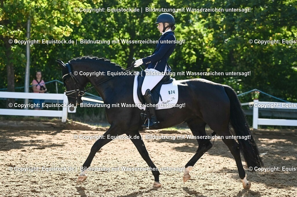 20230715_06_Dressurpferdeprfg. Kl.A_0239 | equistock