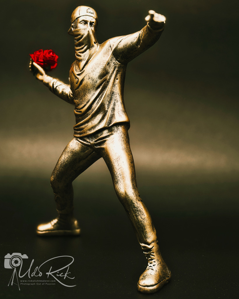 _DSC0040 | Entdecken Sie Fotografie aus Leidenschaft: Auftragsfotografie, HD-Fotos, Geschenkartikel aus Ihren Bildern und vieles mehr. Beauftragen Sie uns für besondere Momente!