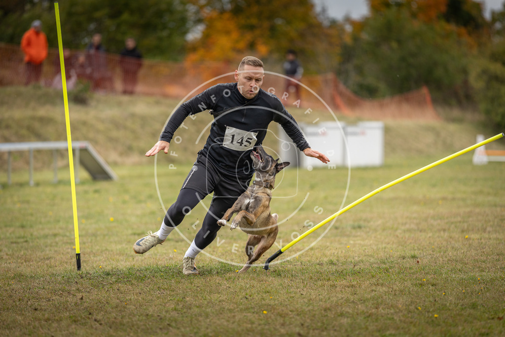 Pfotenfotografie_DV3A8043 | Hundefotografie, Tierfotograf, Pfotenfotografie, Fotoshooting Hund, Hunde Portrait, Hundesport, Hundeportraits, Heideshooting, Hunde, Sportfotograf, Hundefotograf, Turnierhundsport, THS,  - Realisiert mit Pictrs.com