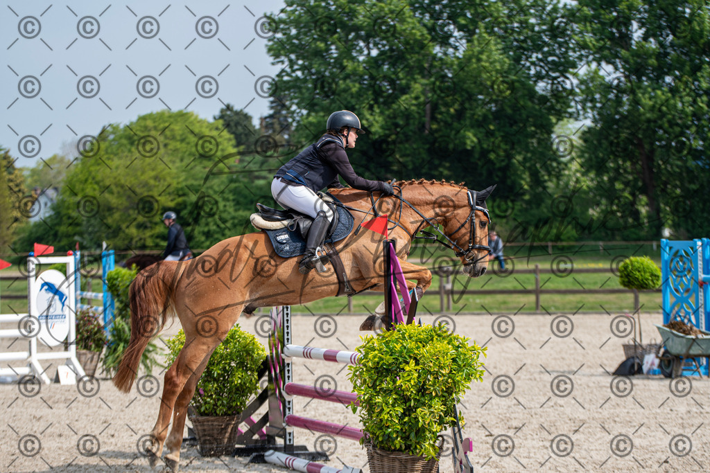 KPT_2661 | andre_photographic