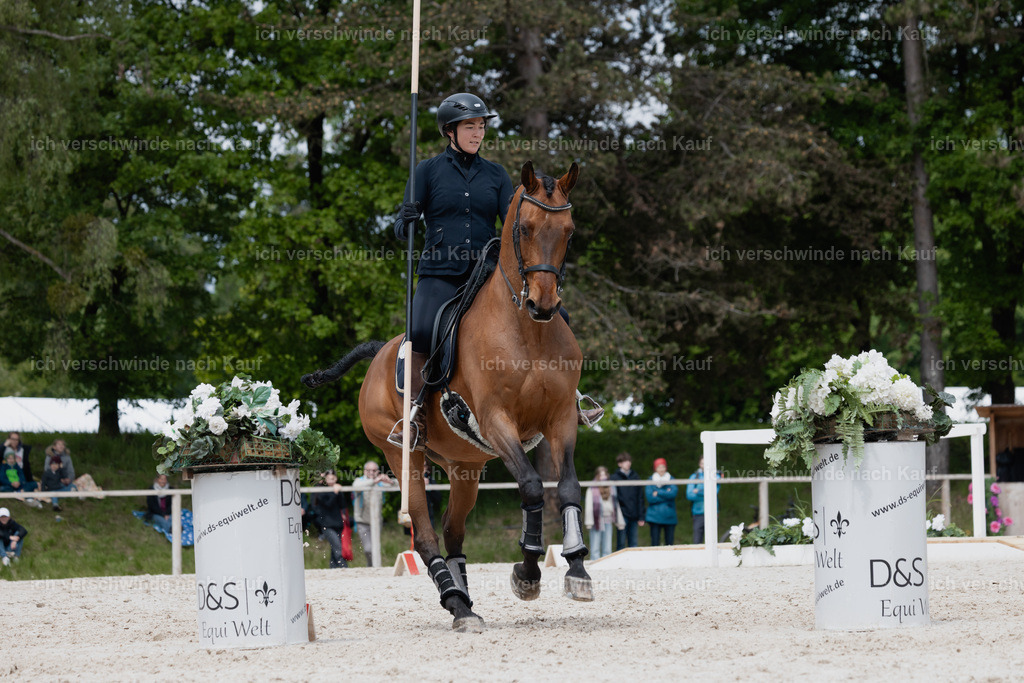 PI26_SP_StoibphotographyC2_C1286.jpg | working equitationturnier fotograf videograf stoibphotography marixx film working equitation deutschland reitsport turnierfotografie eventfotografie equestrian events