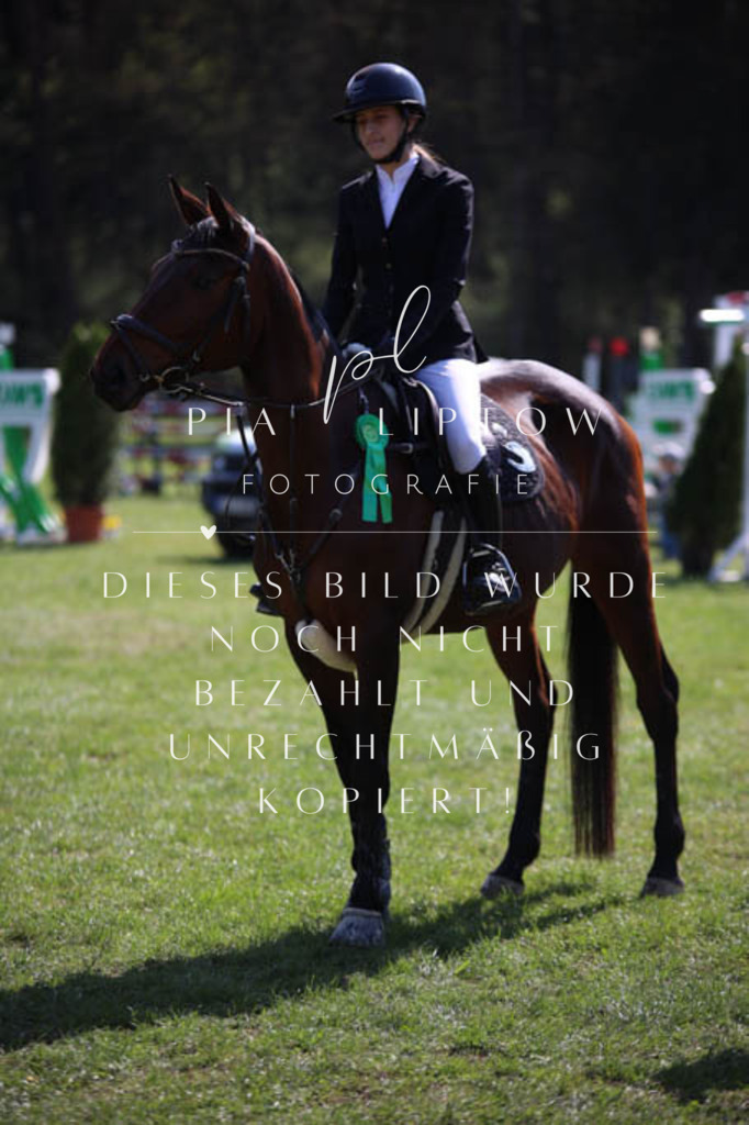 IMGT5740 | pl-fotografie