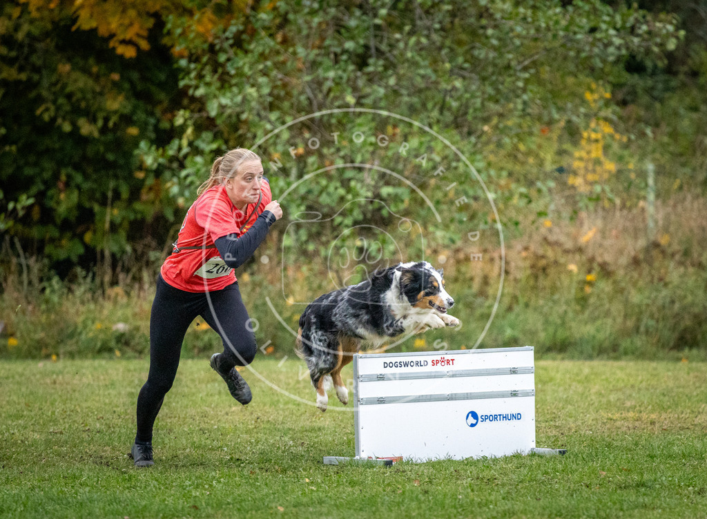Pfotenfotografie_DV3A1414 | Hundefotografie, Tierfotograf, Pfotenfotografie, Fotoshooting Hund, Hunde Portrait, Hundesport, Hundeportraits, Heideshooting, Hunde, Sportfotograf, Hundefotograf, Turnierhundsport, THS,  - Realisiert mit Pictrs.com