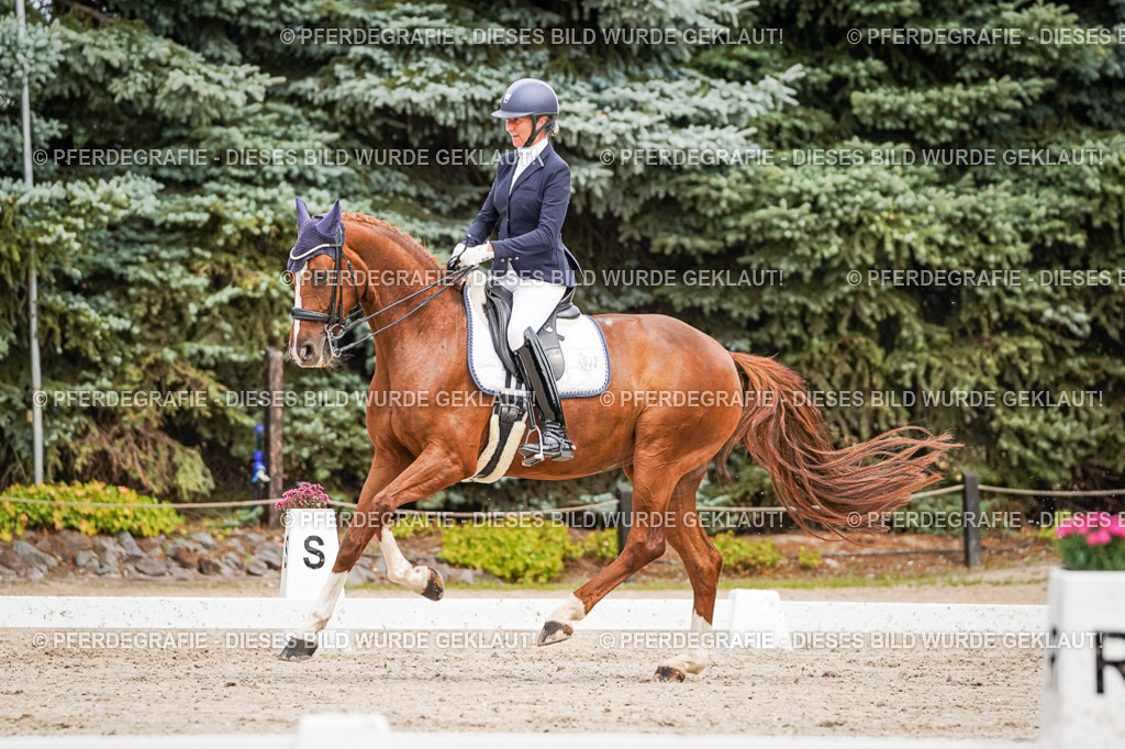 DSC05141 | Pferdegrafie