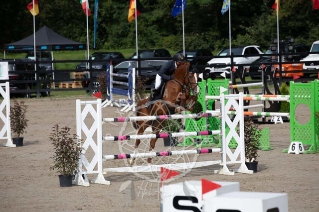 2B4A1239 | pixelfaenger - Realisiert mit Pictrs.com