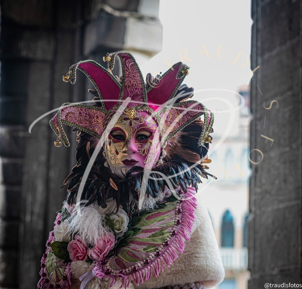 30DC4ECF-3F88-4861-910D-1BA79CE9FCBB | traudl_s_fotos