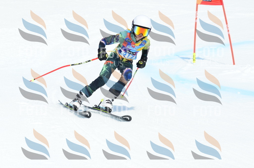 _ELE2419 | holidayphoto