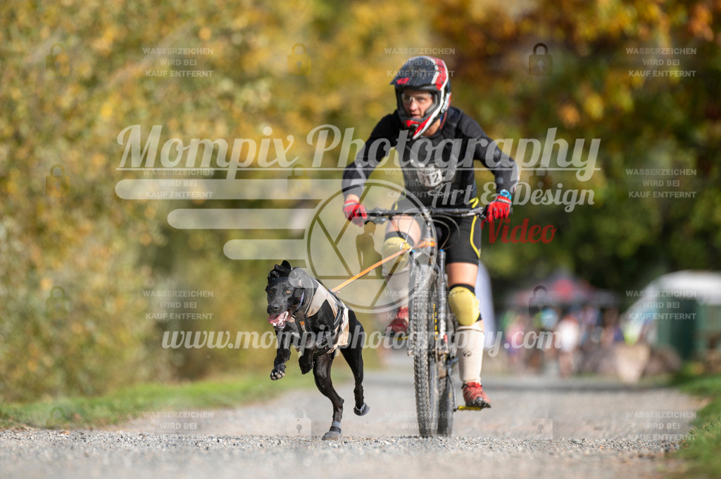 TSB_2023_E2_Bike-48 | PayLife