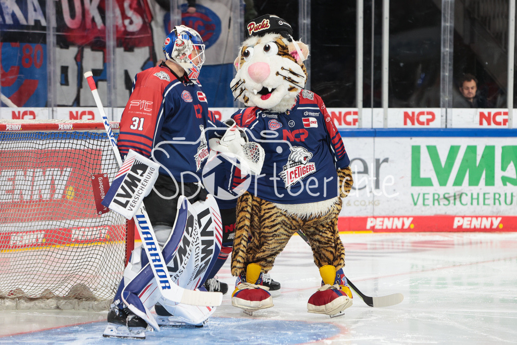 Nuernberg ICE Tigers - Augsburger Panther | Niklas TREUTLE (NIT #31) und das Maskotchen Pucky in Aktion