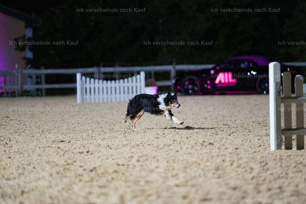 Gala-491 | working equitationturnier fotograf videograf stoibphotography marixx film working equitation deutschland reitsport turnierfotografie eventfotografie equestrian events