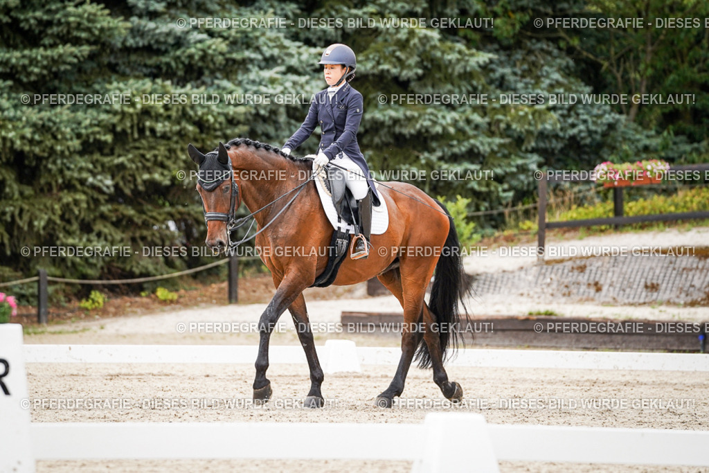 DSC05396 | Pferdegrafie