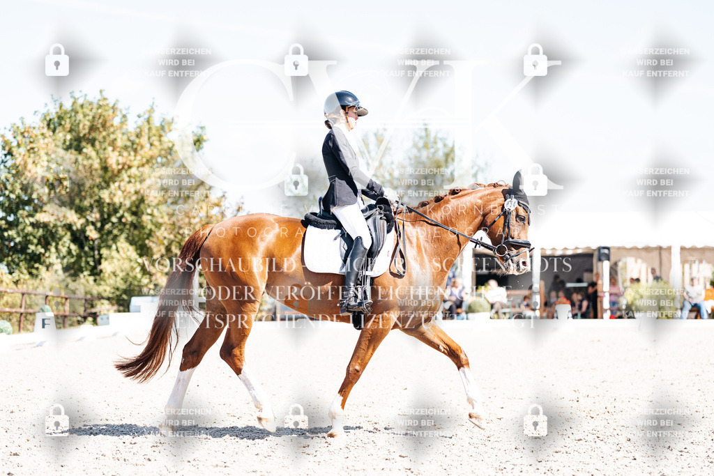 CK904045 | Turnierfotografie Pferdefotografie Trier Rheinland-Pfalz Pferdesport Reitsport Tierfotografie Sportfotografie Pferdevideo Pferdevideografie Equestrianvideography equestrianphotography  - Realisiert mit Pictrs.com