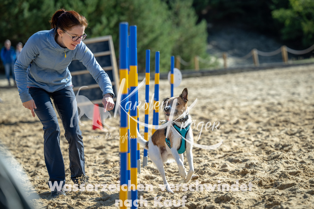 1222_ZZ92966-2 | kk-dogfotos