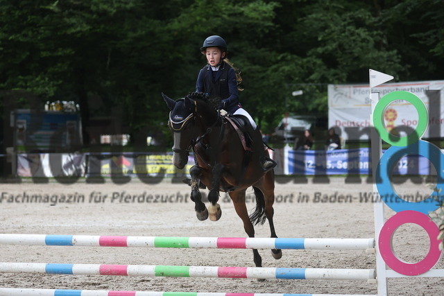 Ichenheim_2024_Prfg.Nr.26_Stilspring-WB_60cm_Mira Alshehab (8) | Alle Fotos der Reiterjournal Fotografin Doris Matthaes im Reiterjournal Online-Fotoshop. - Realisiert mit Pictrs.com