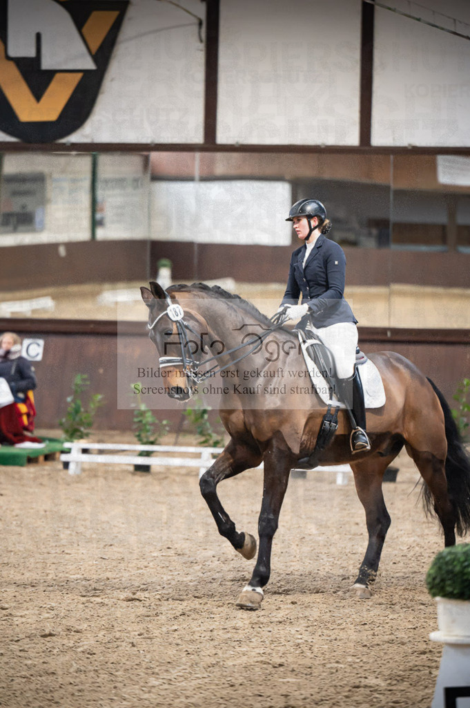 Hallenreittunier Voxtrup 2023 | Entdecke hochwertige Reitturnierfotos von Foto Oger. Professionell, emotional und authentisch – jetzt Lieblingsmomente im Shop bestellen.Deutschlandweite Turnierfotografie. - Realisiert mit Pictrs.com