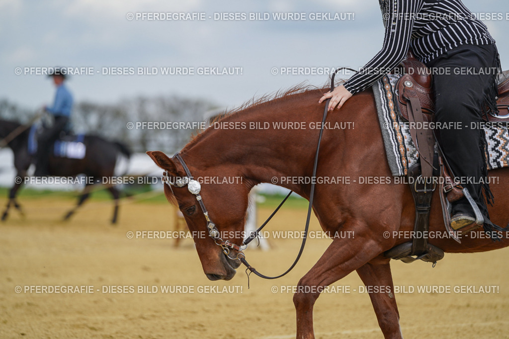 DSC05628 | Pferdegrafie