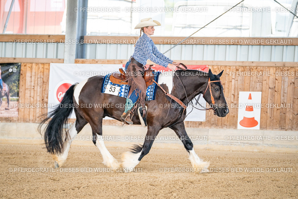 DSC02320 | Pferdegrafie