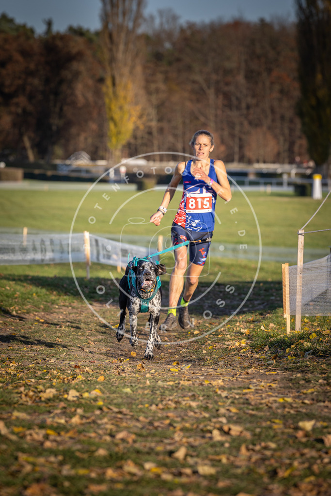 CaniXpix_DV3A3123 | Hundefotografie, Tierfotograf, Pfotenfotografie, Fotoshooting Hund, Hunde Portrait, Hundesport, Hundeportraits, Heideshooting, Hunde, Sportfotograf, Hundefotograf, Turnierhundsport, THS,  - Realisiert mit Pictrs.com