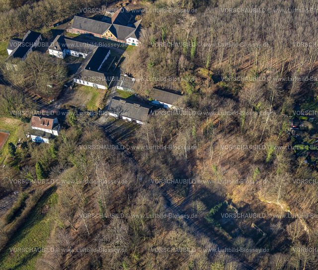 Selm230205134Cappenberg | Luftbild, Ruine, Am Brauereiknapp, Trägerverein Waldschule Cappenberge, Cappenberg, Selm, Münsterland, Nordrhein-Westfalen, Deutschland