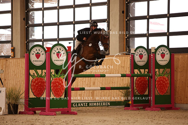 1J2A3476Jan Zdeb_ Cocktail S 4_ Kn149_ Hohen Wieschendorf_ Glantz | Foto- und Videografie für alles rund ums Pferd. Hochwertige Bilder und Videos vom Spring- und Dressurreiten, Voltigieren & mehr. Jetzt aktuelle Veranstaltungen und Preise im Shop ansehen. - Realisiert mit Pictrs.com