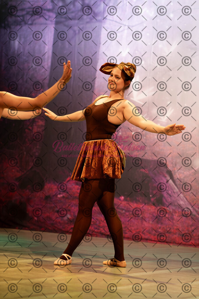 Ballettaufführung-1206 | Bildershop Lem'n Entertainment - Realisiert mit Pictrs.com