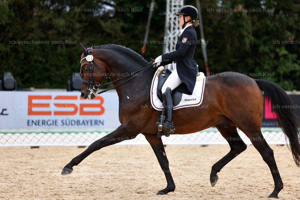 11-215-Dressur S___-StoibPH-1007 | working equitationturnier fotograf videograf stoibphotography marixx film working equitation deutschland reitsport turnierfotografie eventfotografie equestrian events