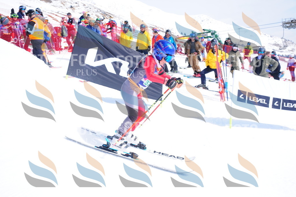 DSC_1501 | holidayphoto