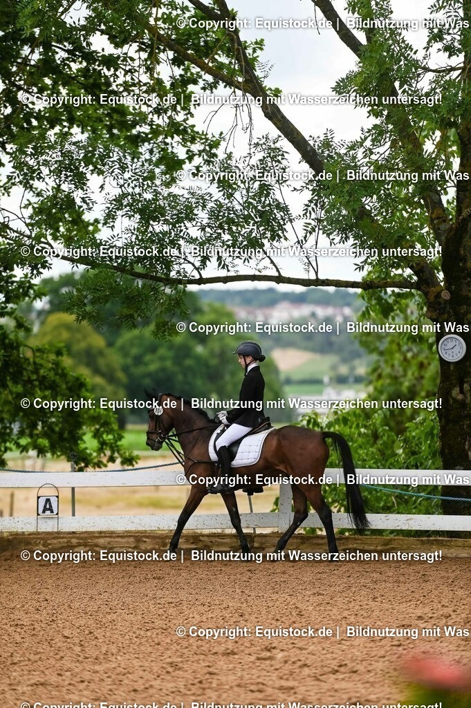 20230716_10-2_Reiter-WB Schritt - Trab - Galopp_0114 | equistock