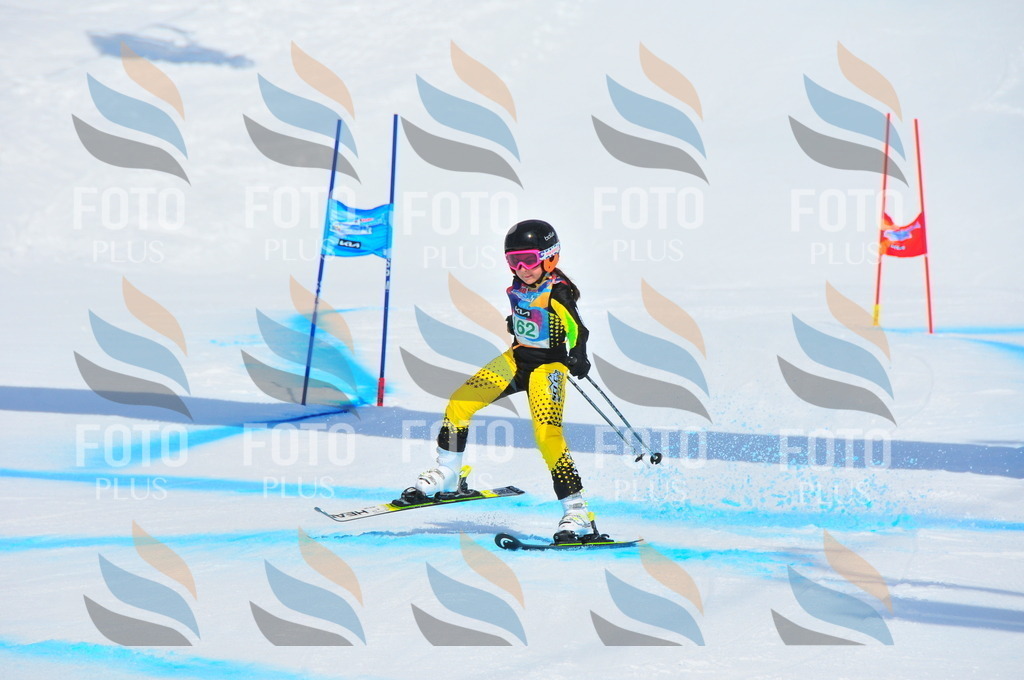 DSC_1440 | holidayphoto